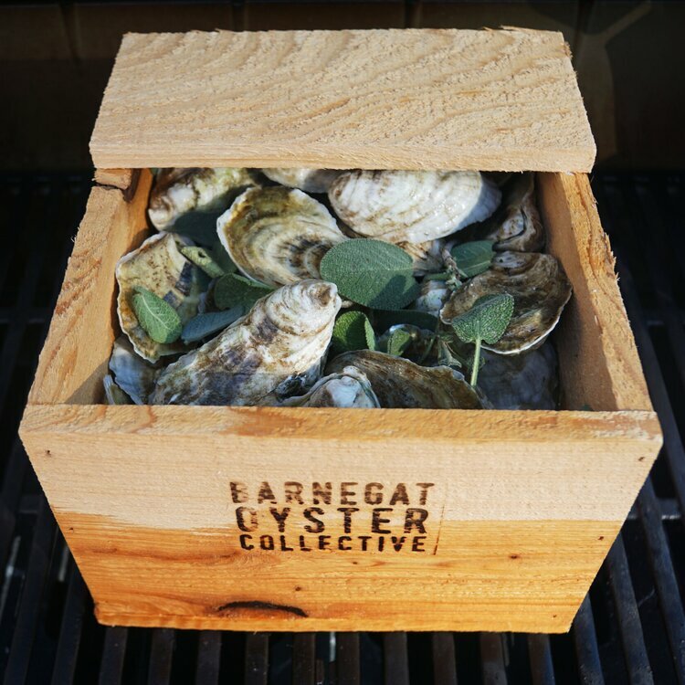 Product Name Littorally Local 2023